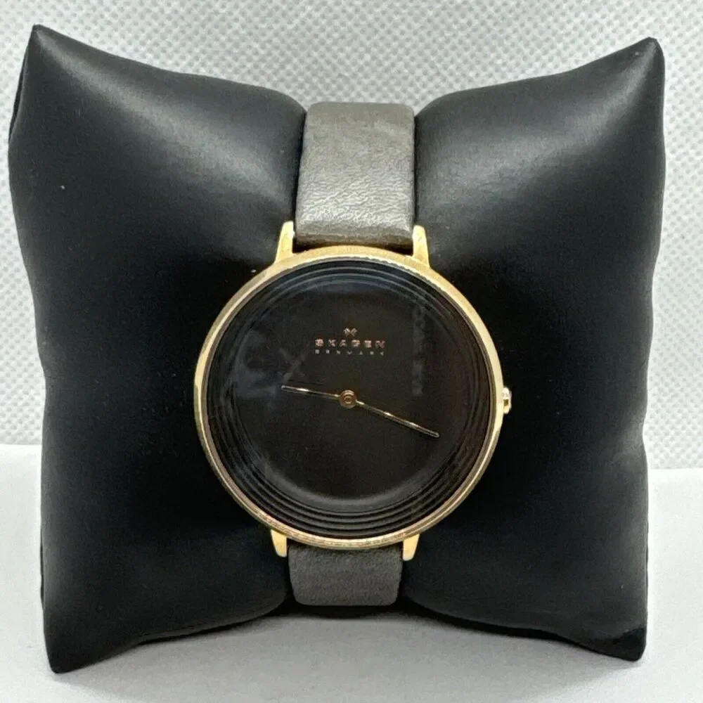 Skagen Ditte SKW2216 Women's Gray Leather Analog Dial Quartz Wrist Watch JNA563
